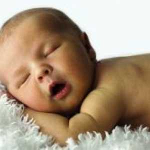 Новороденче грчеви во сон