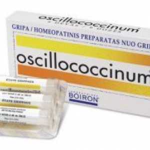 Oscillococcinum доењето