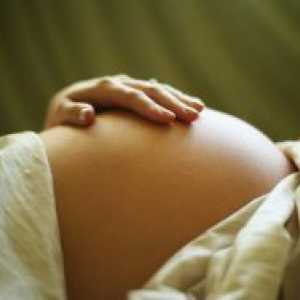 Плацентарна абрупција во почетокот на бременоста