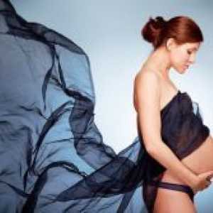 Патологија на бременоста
