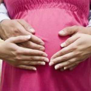 Првиот мешање на фетусот за време на бременоста