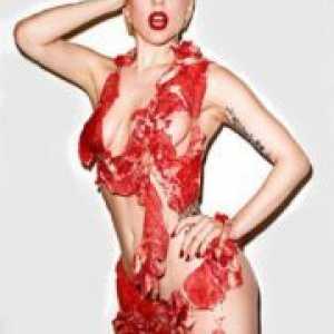 Месо фустан Лејди Гага