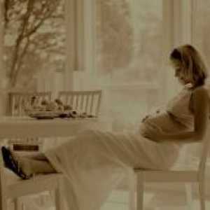 Фетус 24 недели од бременоста
