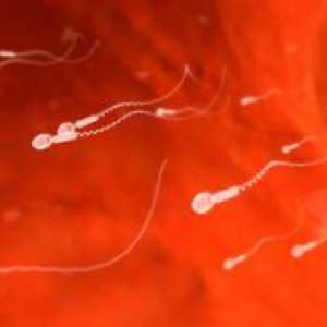 Сперма подвижност