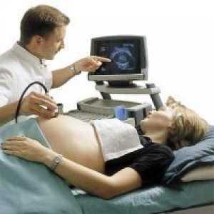 Индикатори ултразвук 32 недели на бременост