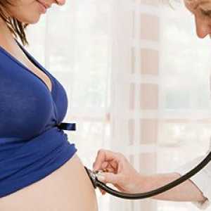 Регистрација на бременост: важни точки