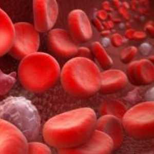 Покачени бели крвни клетки во крвта - Причини