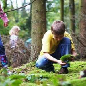 Правила на однесување во шумата за деца - меморандум