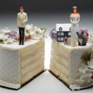 Причини за развод
