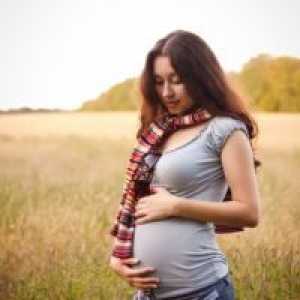 Причините за спонтан абортус во раната бременост