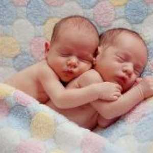 Знаци на близнаци во почетокот на бременоста
