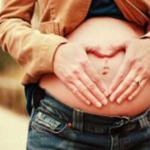 Папокот за време на бременоста