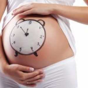 Пресметување на времетраењето на бременоста
