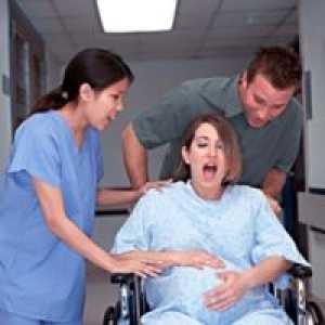 На грлото на матката руптура за време на породување