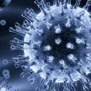 Ротавирус - периодот на инкубација