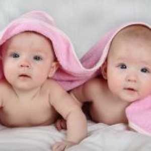 Раѓањето на близнаци
