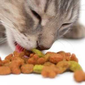 Најдобра храна за мачиња