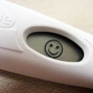 Најточна тест за бременост
