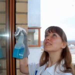 Четка за миење прозорци