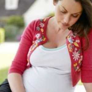 Совети за бремени
