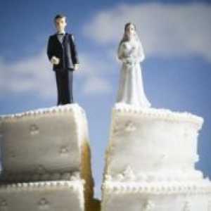 Статистика на разводите во Русија