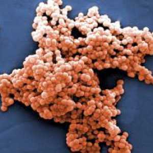 Streptococcus - третман