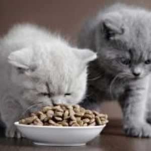 Сува храна за стерилизирани мачки