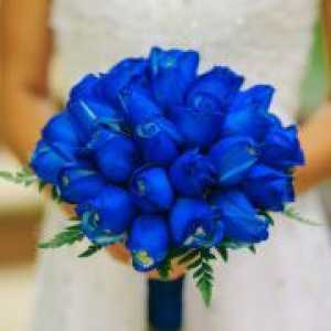 Свадба во сино
