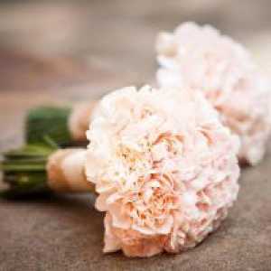 Свадба букет од рози