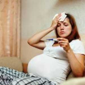 Свинскиот грип кај бремени жени