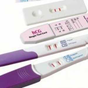 Бременост тест во почетокот на бременоста