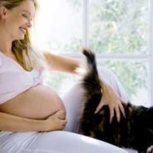 Токсоплазмоза во текот на бременоста