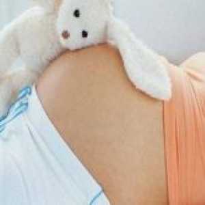 Триместар од бременоста - услови
