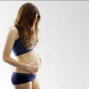 Узи на 20 недели од бременоста