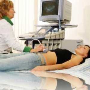 Ултразвук во почетокот на бременоста