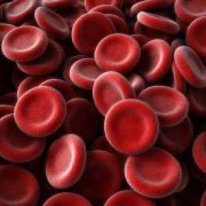 Намалениот крв еритроцитите