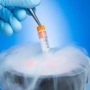 Претворање во стакло мобилен ембриони