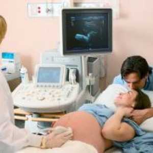 Вториот ултразвук за време на бременоста