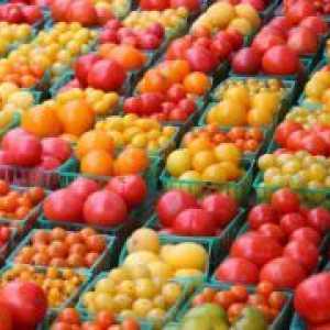 Високо-приносни сорти на домати