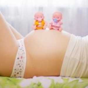 Жолтото тело за време на бременоста: Димензии
